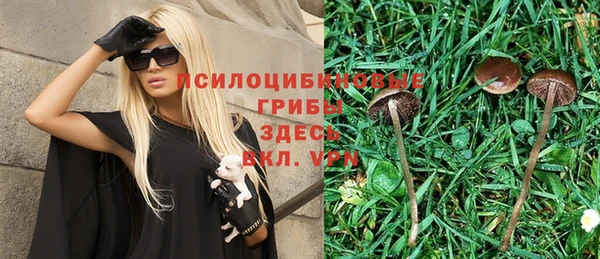 каннабис Армянск