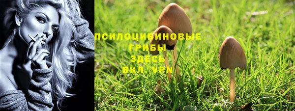 гидра Арсеньев
